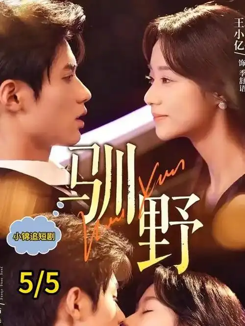 穿越成王妃短剧在线观看